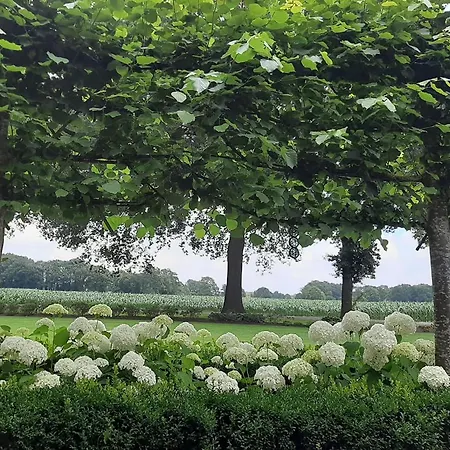 Bed & Breakfast De Hoerst