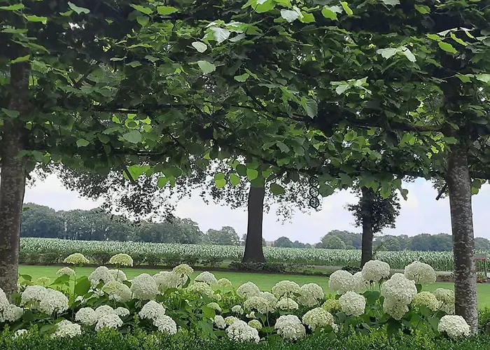 Bed and breakfast De Hoerst