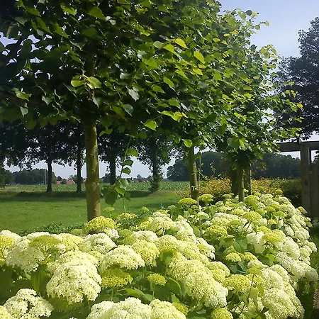 Couette-café De Hoerst Rossum (Overijssel)