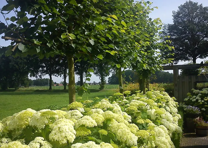 住宿加早餐酒店 De Hoerst Rossum (Overijssel)